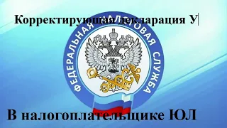 Как заполнить корректирующую УСН, как исправить ошибки в отправленной УСН