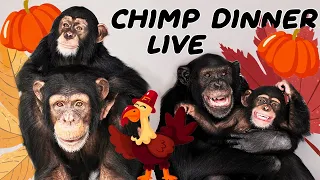 The one and ONLY Chimp Dinner Live | Nov 21st