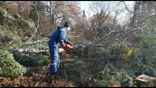 Спасатели завершили работы по подготовке вертолетной площадки на месте крушения самолета Ан-26