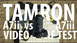 SONY A7ii VS A7iii TAMRON 28-75 AUTOFOCUS COMPARISON