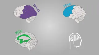 Understanding Universal Design for Learning