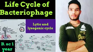 Bacteriophage life Cycle