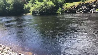 Salmon Fishing Scotland