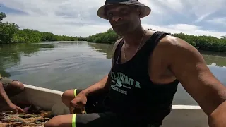 fiji fishing part 3