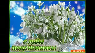 День подснежника 19апреля