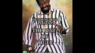 TIGER - BEST MIX  HITS - DANCEHALL REGGAE CLASSIC (DJ YOUNG BOSS)