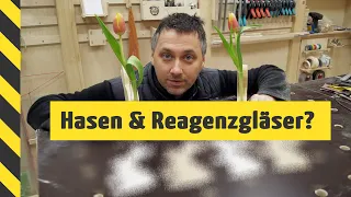 Hasen-Vasen schnell & einfach aus Holz · Noch rechtzeitig vor Oster! 🐰