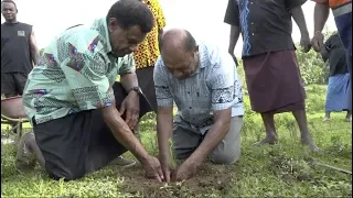 Fijian Minister for Forestry launches the tree planting program for Central/Eastern Division