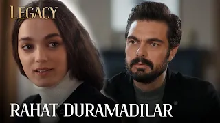 Aşıklar halanın yanında da rahat durmadı | Emanet 499. Bölüm