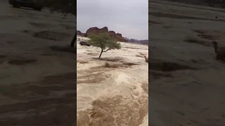 Chuva alaga o deserto do Saara
        em 1 hora de chuva
        chuveu correspondente a 6 anos no deserto