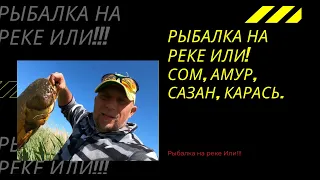 Рыбалка на реке Или/ Коктал июнь 2021/ Сом/ Амур/ Карась/ Часть2