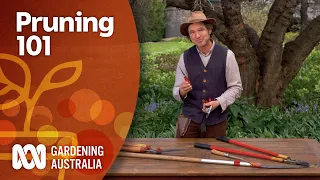 Everything you need to know to start pruning | Gardening 101 | Gardening Australia