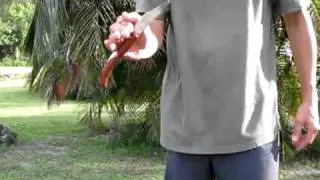 how to open okapi knife