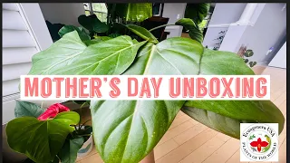 Mother’s Day plant haul.
