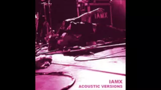 IAMX - Acoustic Versions (Unrealised)