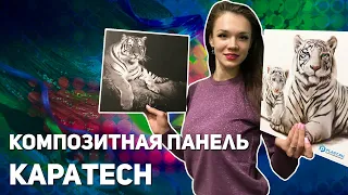 Композитная панель KAPAtech