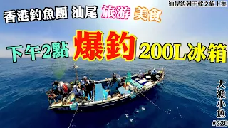 汕尾美食釣魚團┃下午2點便釣爆200L冰箱┃連續釣足18小時┃汕尾釣到手軟之旅上集┃大漁小魚#220┃中文字幕