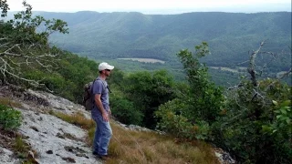 Bushwhacking Big Walker Mountain near Dublin, Virginia