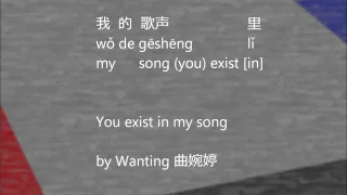 Lyrics! 我的歌声里(You Exist In My Song)by 曲婉婷[Pinyin/Eng]