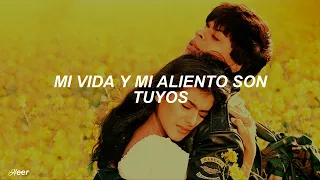 Tujhe Dekha Toh Yeh Jaana Sanam - Dilwale Dulhania Le Jayenge (Subtitulado al español)