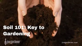 Soil 101: How to Create Healthy Soil