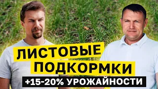 СДЕЛАЙ ЭТО и листовые подкормки будут работать. ВСЕ СЕКРЕТЫ. Для начинающих и опытных аграриев