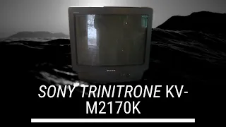 6.2 Sony trinitron KV-M2170K