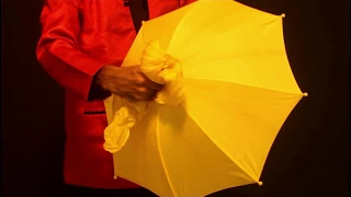Umbrella Magic Trick Revealed