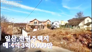 일산,전원주택지,가격인하 급매:3억6,000만원