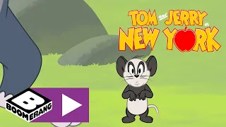 Tom i Jerry w Nowym Jorku | Myszkarada | Cartoonito