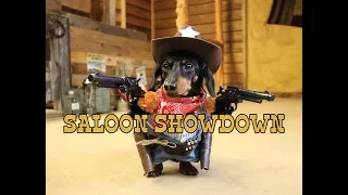 Crusoe the Cowboy Dachshund: Saloon Showdown