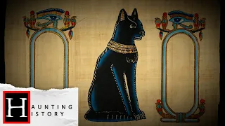 The History Of Black Cats