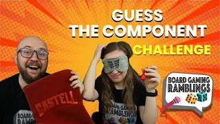 Can Sunniva guess the game? Blindfold Component Challenge!