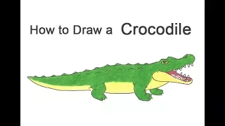 How to Draw a Crocodile / Alligator (Cartoon)