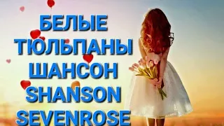 Белые тюльпаны . SEVENROSE . Shanson . Шансон .