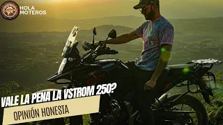 Suzuki Vstrom 250 sx después de 15000 kilómetros ¿Vale la pena? 🤨