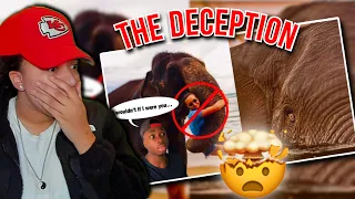 Why Elephants DON’T Think You’re Cute..  Everything I Know Is A Lie! (Casual Geographic)