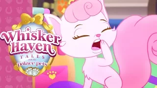 Sleep Talkers | Whisker Haven Tales with the Palace Pets | Disney Junior