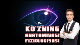 Ko`zning anatomiyasi va fiziologiyasi