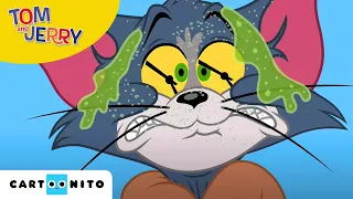 Tom und Jerry | Der Splitter | Cartoonito