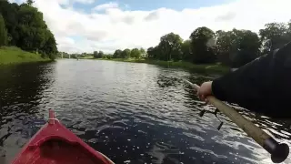 Salmon Fishing on the River Tay, Cargill Beat August 2014