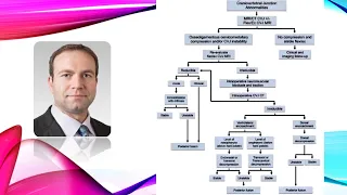 An Algorithmic Approach to the management of disorders affecting the Craniocervical Junction