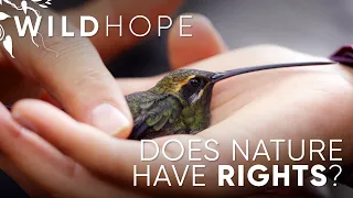 Does nature have the right to be protected? | WILD HOPE