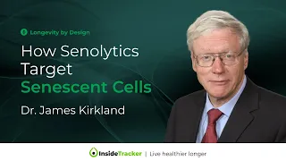 How do Senolytics Work to Target Senescent Cells | Dr. James Kirkland