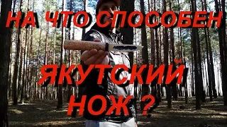 На что способен якутский нож из Х12МФ? Тесты якута от Алексея Шпаковича