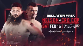 EA Sports UFC 3 Рой Нельсон - Мирко Филипович (Roy Nelson - Mirko Filipovic)