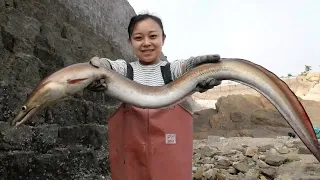 Xiaozhang Caught A Huge Moray Again, Happy!（Catch the sea）