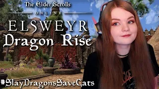 Dragon Rise Event In ESO: Elsweyr & #SlayDragonsSaveCats!