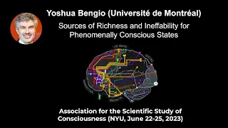 Yoshua Bengio: Sources of Richness and Ineffability for Phenomenally Conscious States | ASSC26