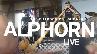 Amazing Grace on the ALPHORN - The Chardon Polka Band